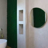 Lustro Liwa